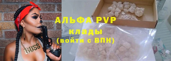 кокс Гусев