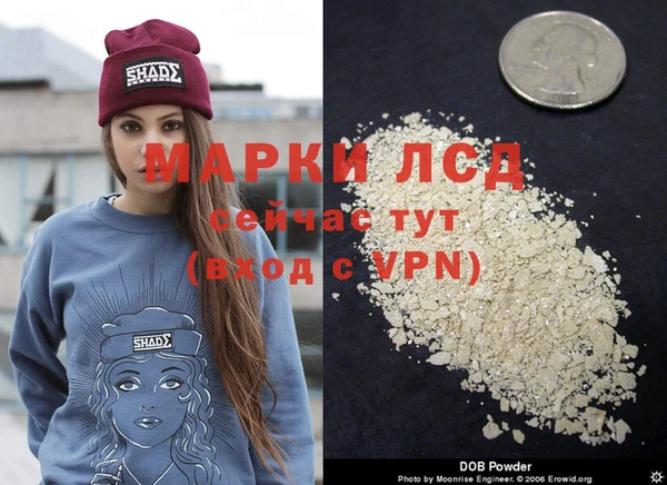 кокс Гусев