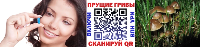 Псилоцибиновые грибы ЛСД  цена   Тверь 