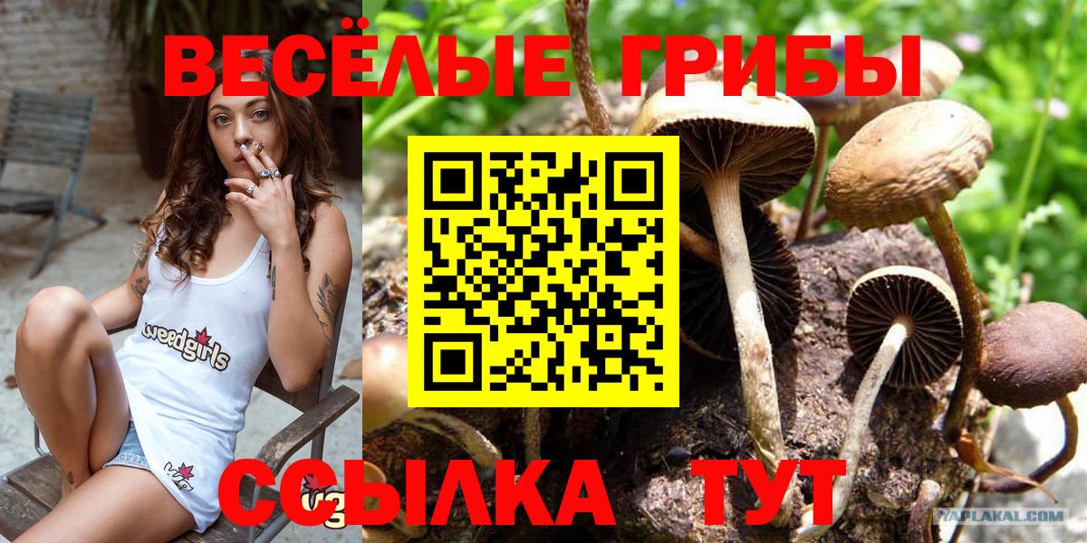 Галлюциногенные грибы ЛСД  Псилоцибиновые грибы мицелий  Тверь  Вход с VPN 